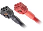 Molex 现货型 (OTS) SW1电缆组件