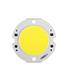 Cree LED XFLC20-H0-0000-0B000A57E