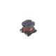 Sumida CR54NP-7R6MC