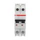 ABB S202MR-K60