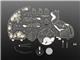 Adafruit 5237