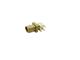 Adam Tech RF55-33C-T-00-50-A-SH