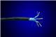 Alpha Wire 5620B2020 NC001