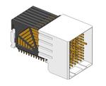Amphenol FCI 10052838-101LF 扩大的图像