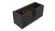 Amphenol FCI 20021521-00110C1LF