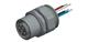 Amphenol CONEC 43-01006
