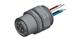 Amphenol CONEC 43-01091