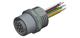 Amphenol CONEC 43-01097