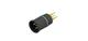 Amphenol CONEC 43-01700