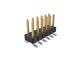 Amphenol FCI 95278-101A12LF