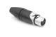 Amphenol Audio AX4F