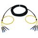 Amphenol Sachsenkabel BB03-0017-200M