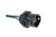 Amphenol LTW CB-02RFFS-RS8D10