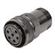 Amphenol Industrial DL3106A24-10S