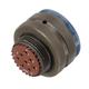 Amphenol Aerospace MS27467E17B8S