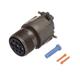 Amphenol Industrial MS3101E24-11S
