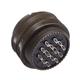 Amphenol Aerospace MS3106R-28-2S