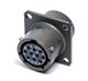 Amphenol Industrial PTB-12-10PS(005)