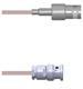 Amphenol Custom Cable Q-0300J0005012i