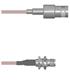 Amphenol Custom Cable Q-0304F0005012i