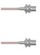 Amphenol Custom Cable Q-040040005012i