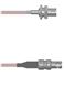 Amphenol Custom Cable Q-0400Q0005012i