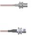 Amphenol Custom Cable Q-0404E0005012i