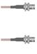 Amphenol Custom Cable Q-06006000S006i