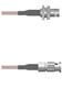 Amphenol Custom Cable Q-0600W000S006i