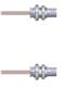 Amphenol Custom Cable Q-07007000R008i