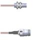 Amphenol Custom Cable Q-0701V000R008i