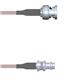 Amphenol Custom Cable Q-0O00R000S006i