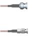 Amphenol Custom Cable Q-0O00W000S006i