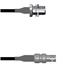 Amphenol Custom Cable Q-1T00Q0003006i
