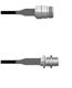 Amphenol Custom Cable Q-1W01X0008048i