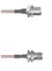 Amphenol Custom Cable Q-1Z04C0001072i