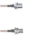 Amphenol Custom Cable Q-1Z04D0001072i