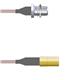 Amphenol Custom Cable Q-2203Z000R008i