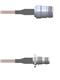 Amphenol Custom Cable Q-2404O000H007i