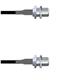 Amphenol Custom Cable Q-26026000M084i
