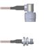 Amphenol Custom Cable Q-2C04E0005012i