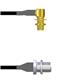 Amphenol Custom Cable Q-2P01U0003006i