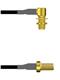Amphenol Custom Cable Q-2P02V0003006i