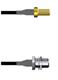 Amphenol Custom Cable Q-2V01T0003006i