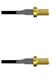 Amphenol Custom Cable Q-2V02V0003084i