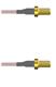 Amphenol Custom Cable Q-2V02V0005006i