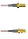 Amphenol Custom Cable Q-2V02W0005012i