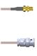 Amphenol Custom Cable Q-2W00J0005012i