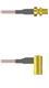 Amphenol Custom Cable Q-2W03S0005012i