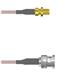 Amphenol Custom Cable Q-2X00K000R008i